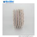 DC24V 240LEDs por metro High CRI Dimmable 3528 LED Strip